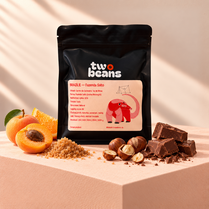 Sáček kávy Two Beans Brazílie – Fazenda Salto s meruňkou, pomerančem, hnědým cukrem, lískovým oříškem a mléčnou čokoládou