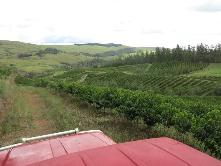 Farma – PAPUA NOVÁ GUINEA – Baroida Estate